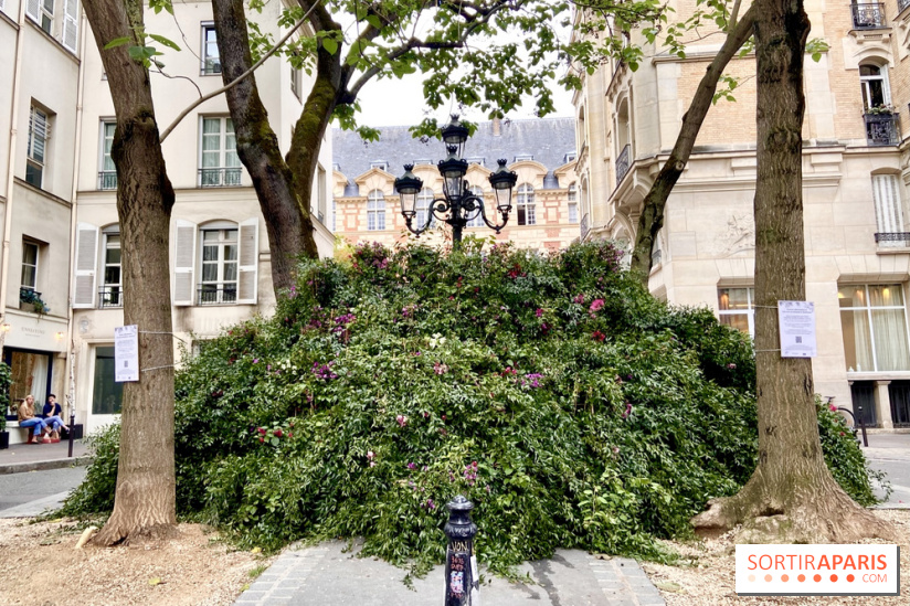 Paris : une première "forêt urbaine" va voir le jour à Montparnasse avant 2024