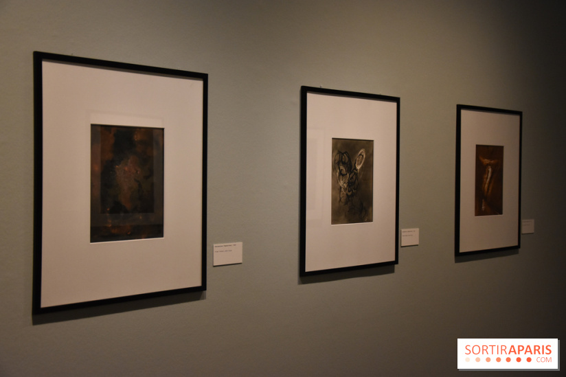 Nino Migliori, l'exposition à la MEP