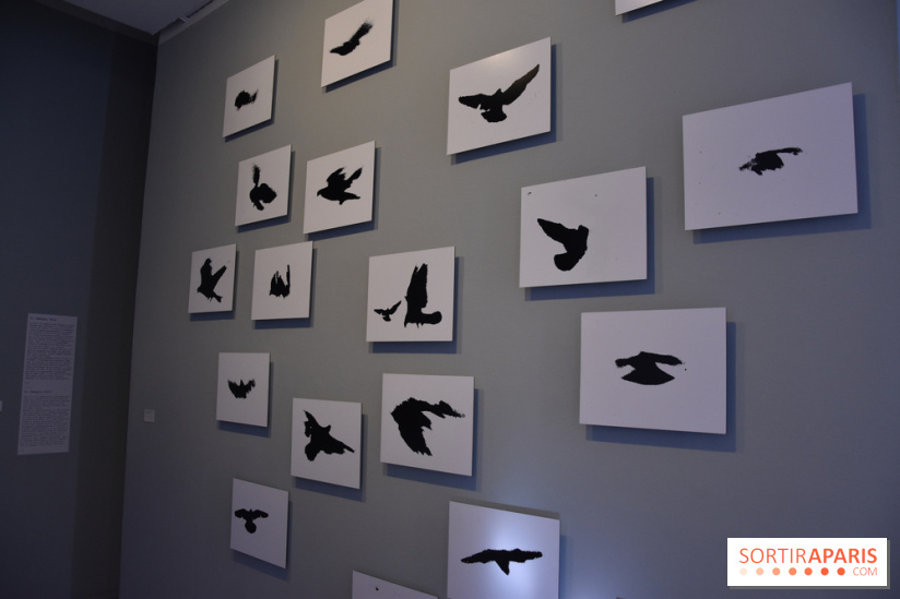 Nino Migliori, l'exposition à la MEP