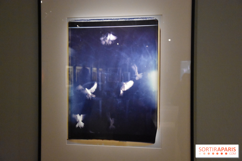 Nino Migliori, l'exposition à la MEP