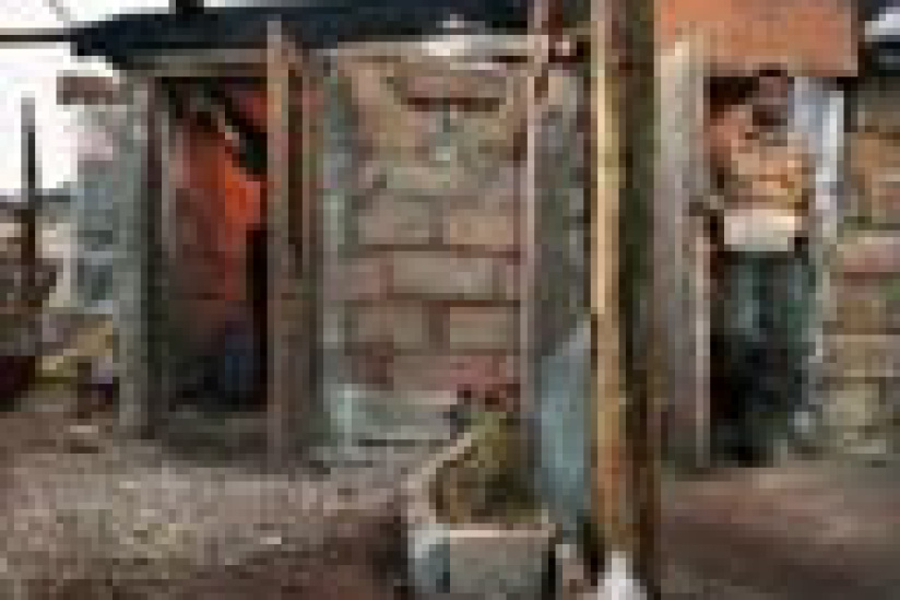 EloignŽs de leur famille, ŽloignŽs de la sociŽtŽ andalouse et des centres urbains, les migrants vivent, au cÏur des serres, en petite communautŽ organisŽe par nationalitŽ.
Un migrant marocain sans emploi nettoie la cuisine qu'il partage avec 5 compagnons, Campohermoso, province d'Almeria, avril 2007

© Christophe Chammartin/Rezo.ch