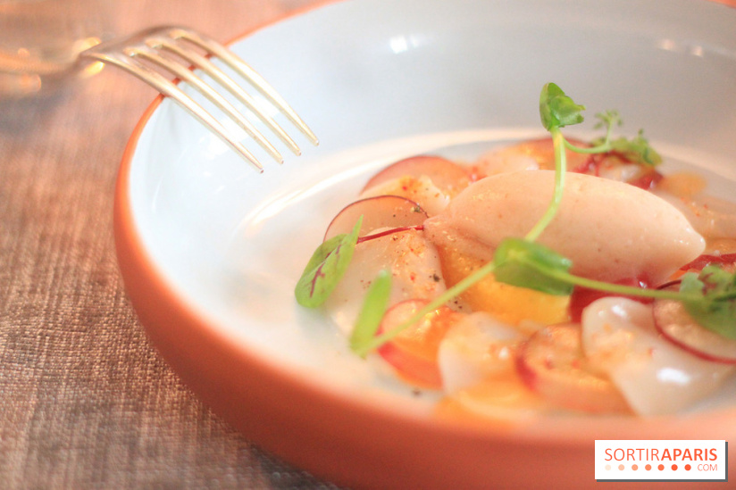 Les Tantes Jeannes : les photos