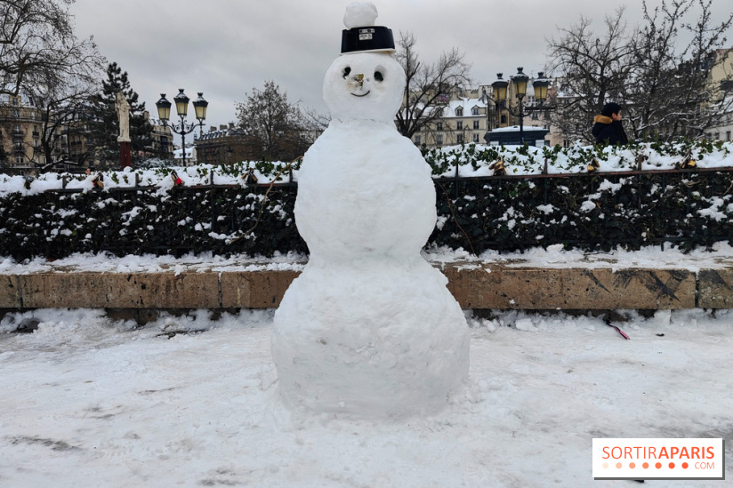 La Neige à Paris - fotor 1767798970463