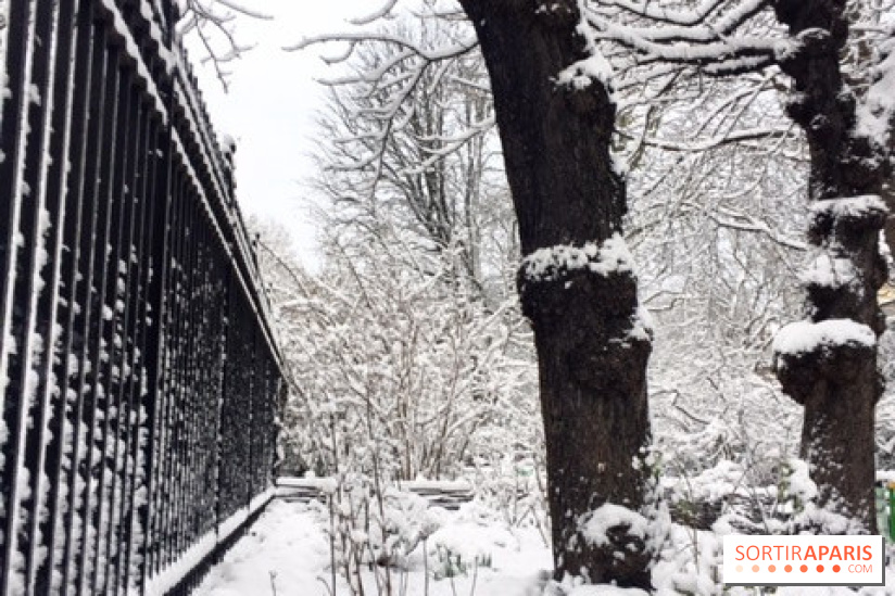 La Neige à Paris