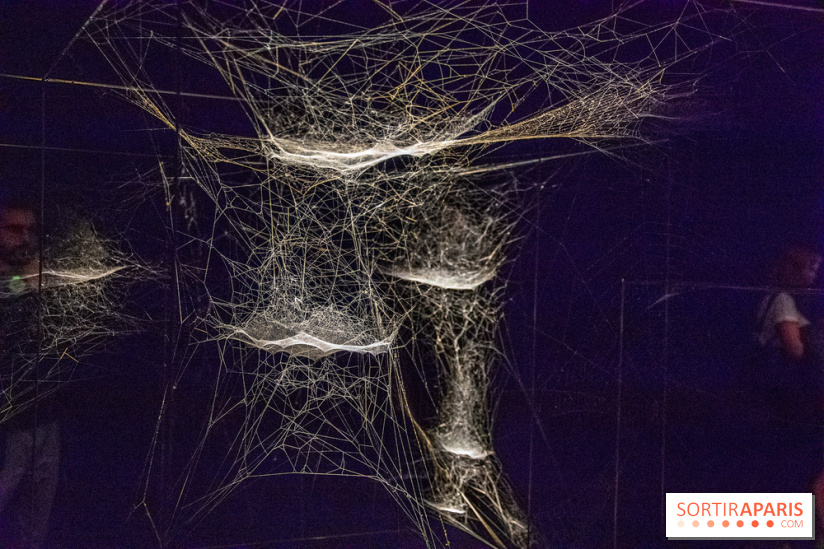 Base de données LaurentP