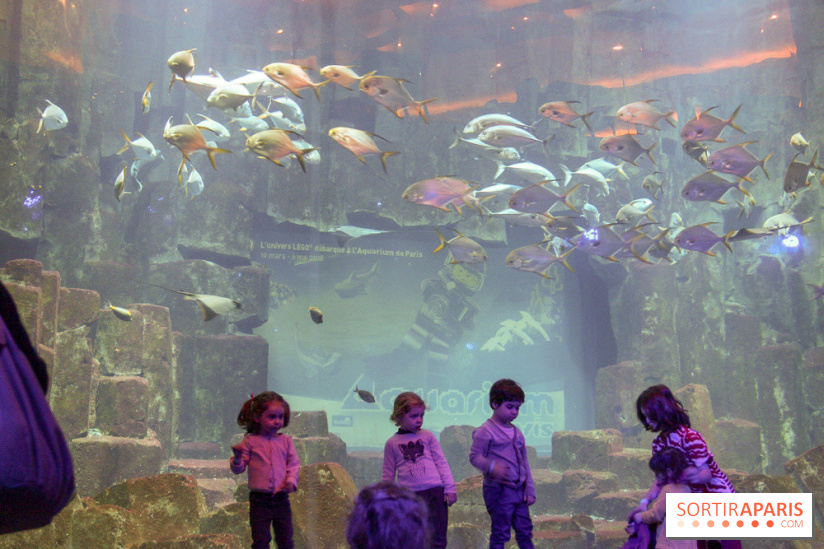 Les 60 ans de LEGO® à l'Aquarium de Paris