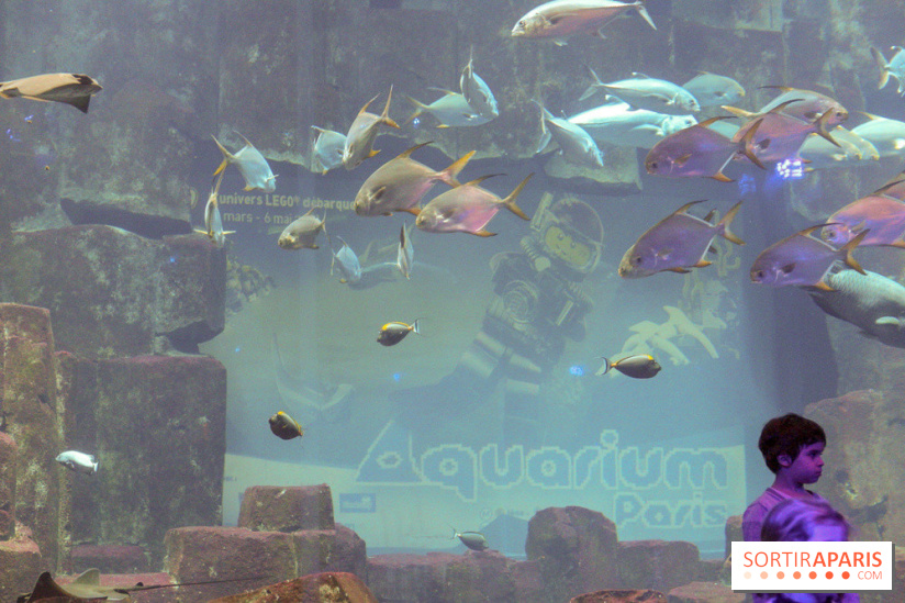 Les 60 ans de LEGO® à l'Aquarium de Paris