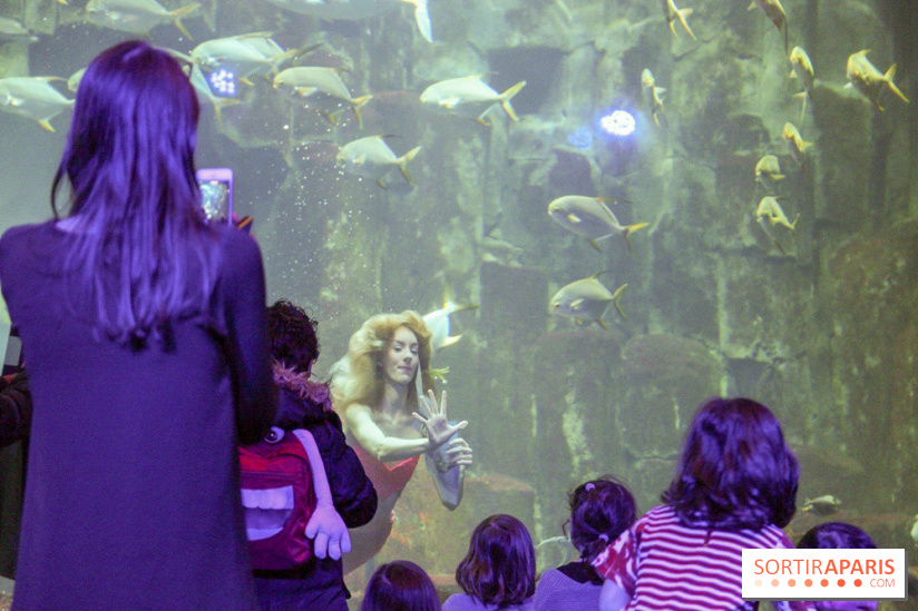 Les 60 ans de LEGO® à l'Aquarium de Paris