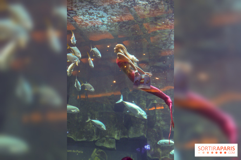 Les 60 ans de LEGO® à l'Aquarium de Paris