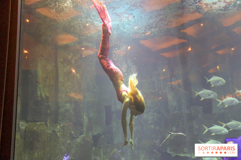 Les 60 ans de LEGO® à l'Aquarium de Paris