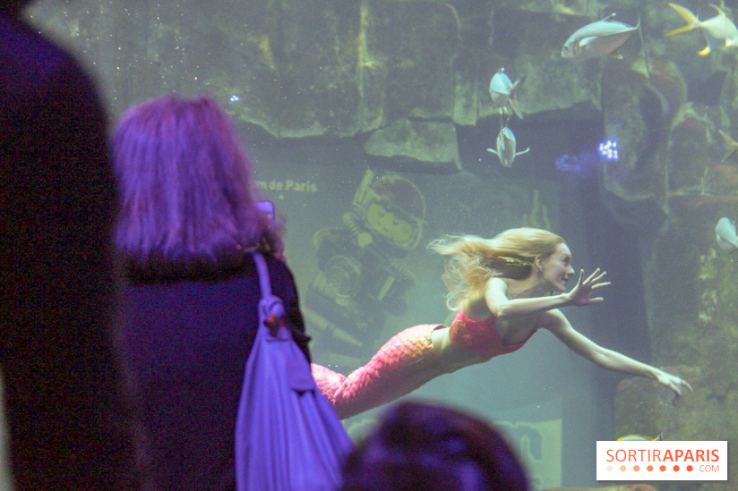 Les 60 ans de LEGO® à l'Aquarium de Paris