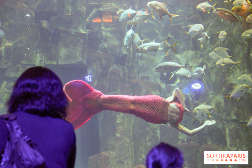 Les 60 ans de LEGO® à l'Aquarium de Paris