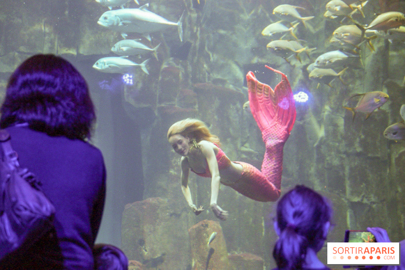 Les 60 ans de LEGO® à l'Aquarium de Paris