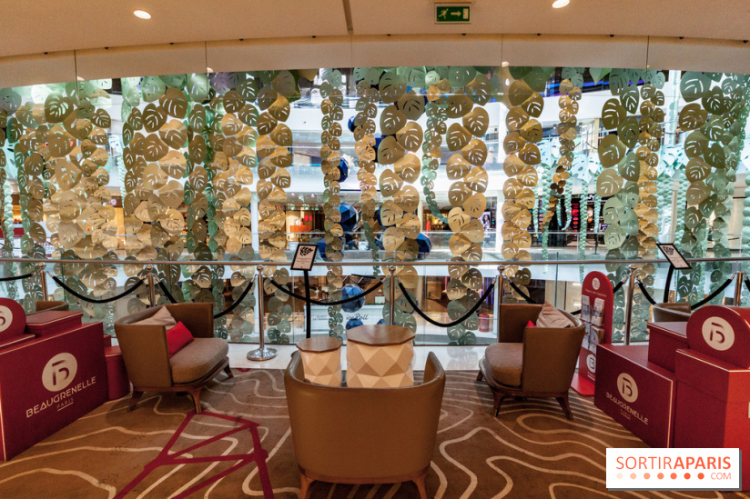 Exposition Monstera Dubia à Beaugrenelle