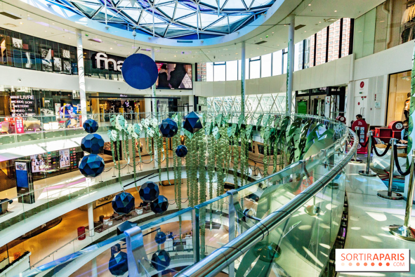 Exposition Monstera Dubia à Beaugrenelle