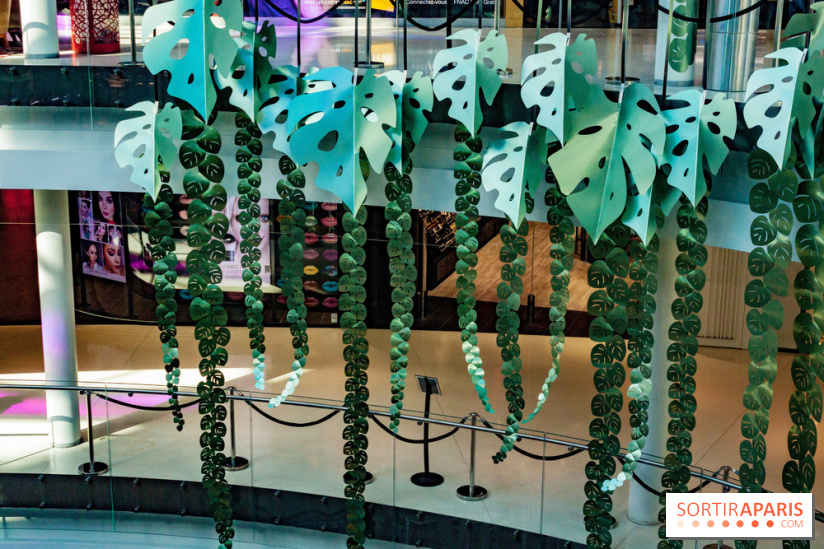 Exposition Monstera Dubia à Beaugrenelle