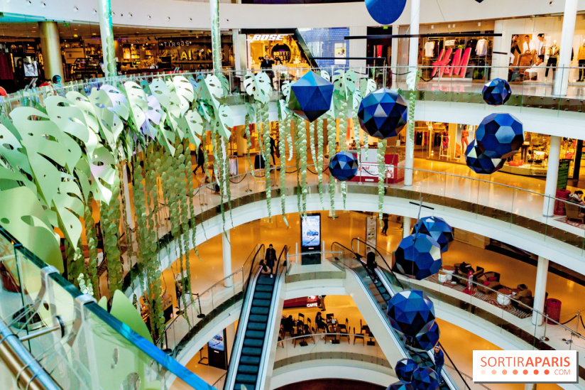 Exposition Monstera Dubia à Beaugrenelle