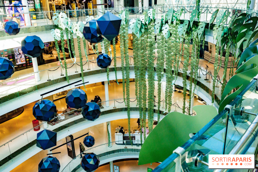 Exposition Monstera Dubia à Beaugrenelle