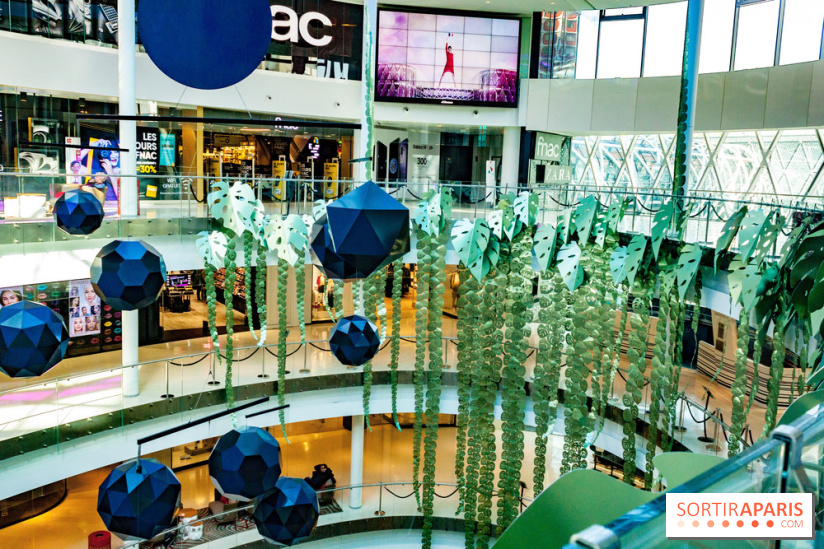 Exposition Monstera Dubia à Beaugrenelle