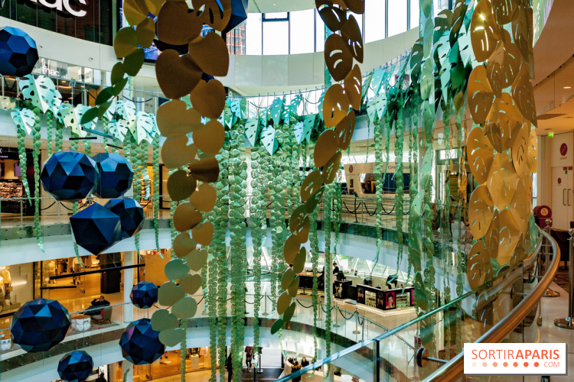 Exposition Monstera Dubia à Beaugrenelle