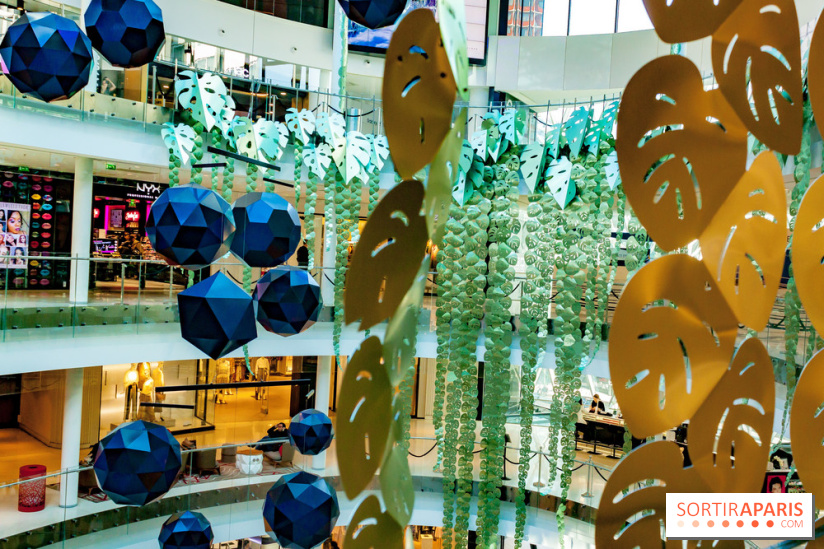 Exposition Monstera Dubia à Beaugrenelle