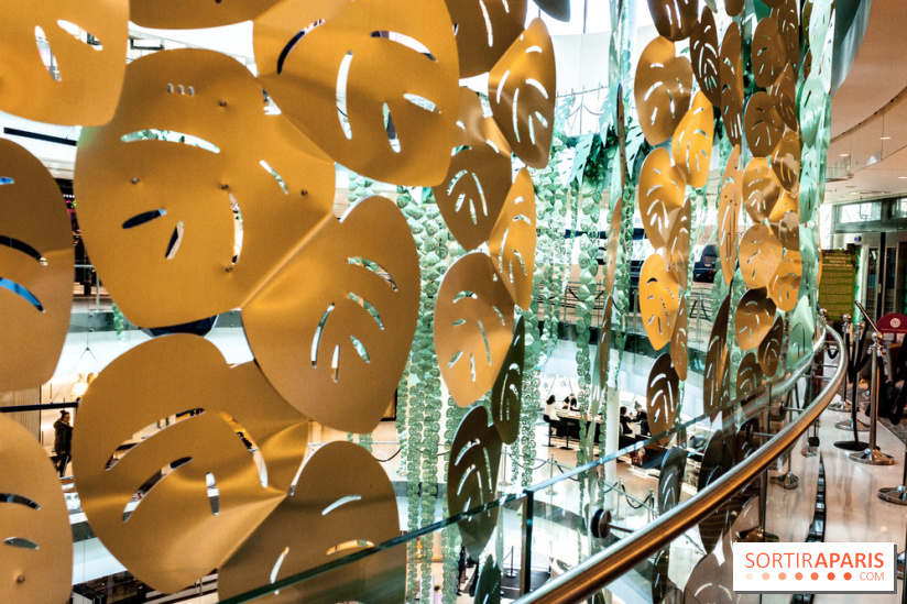 Exposition Monstera Dubia à Beaugrenelle