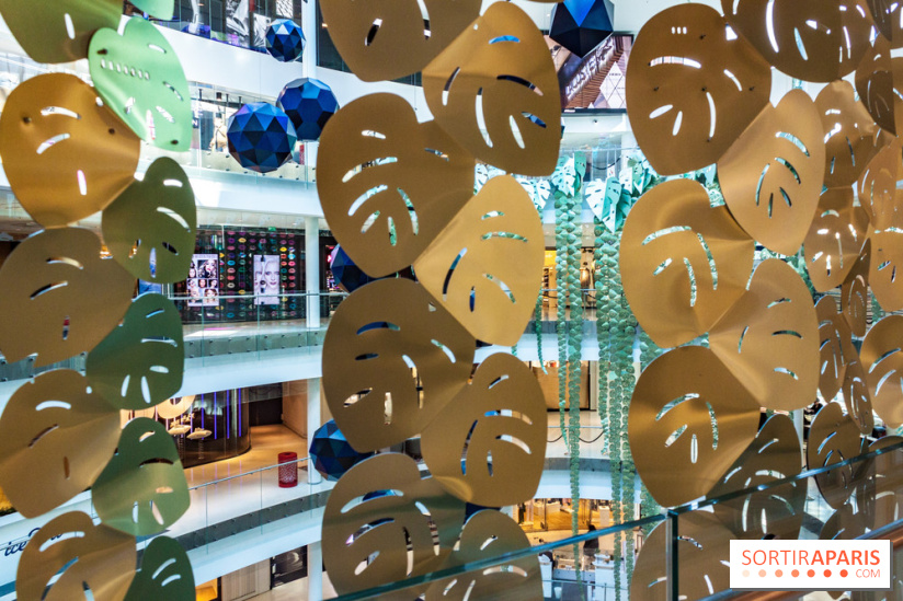 Exposition Monstera Dubia à Beaugrenelle