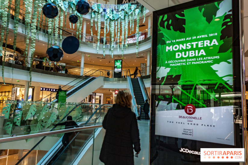 Exposition Monstera Dubia à Beaugrenelle