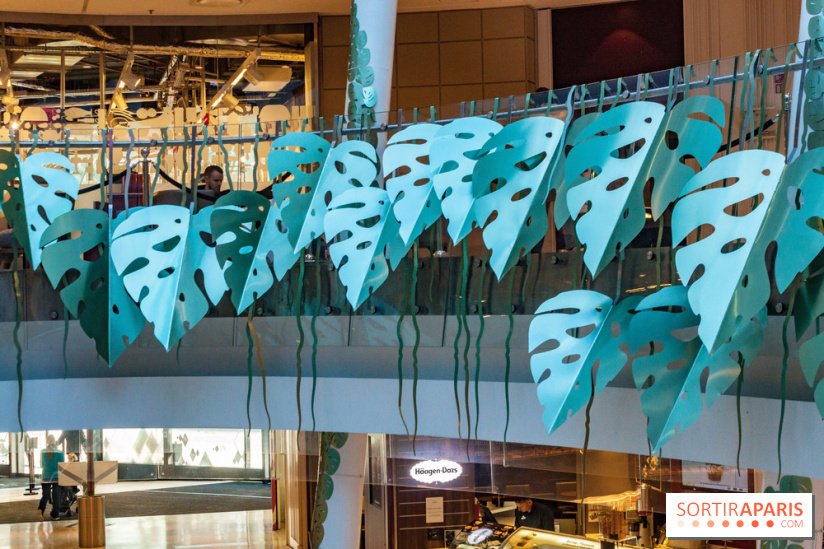 Exposition Monstera Dubia à Beaugrenelle