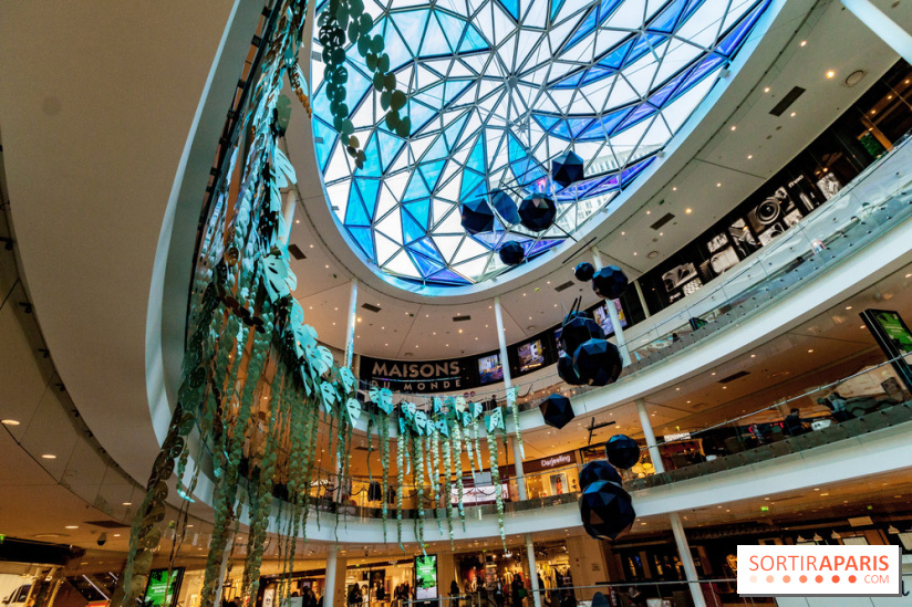 Exposition Monstera Dubia à Beaugrenelle