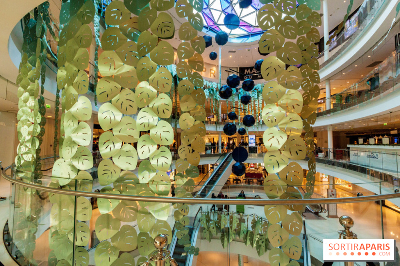 Exposition Monstera Dubia à Beaugrenelle