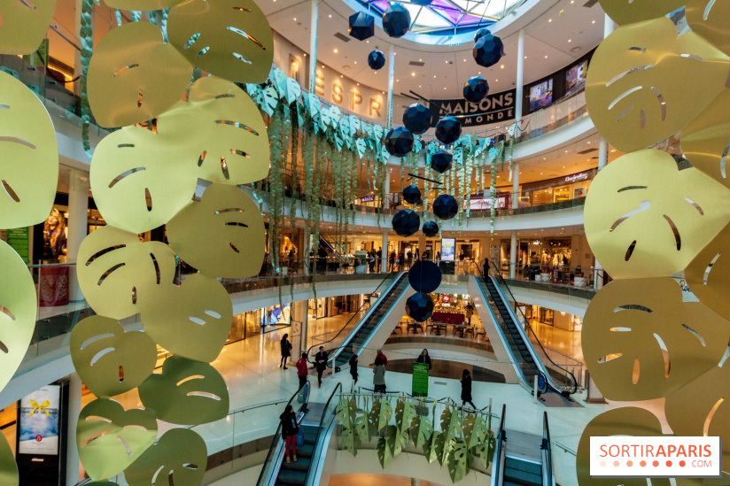 Exposition Monstera Dubia à Beaugrenelle