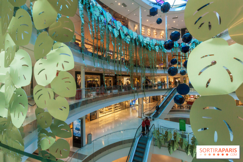 Exposition Monstera Dubia à Beaugrenelle