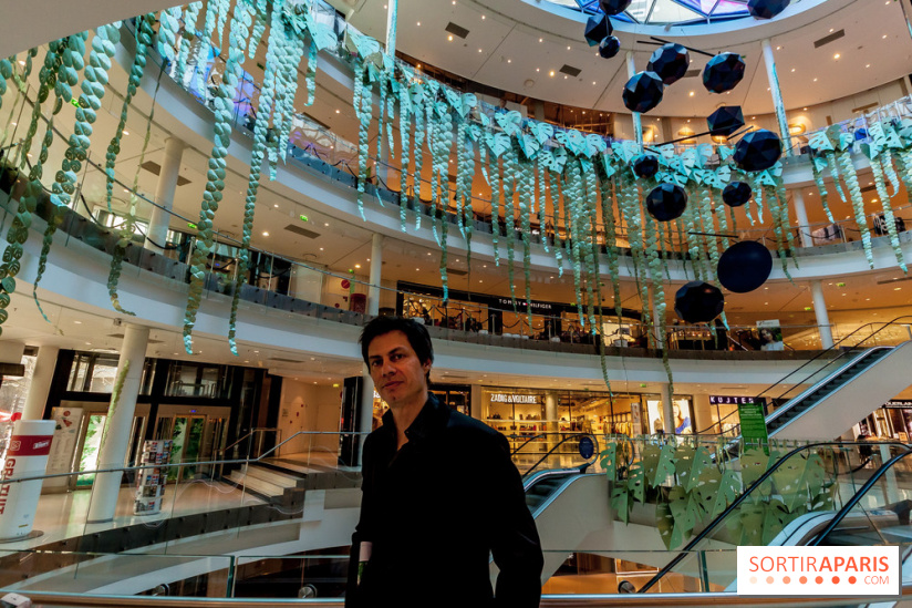 Exposition Monstera Dubia à Beaugrenelle