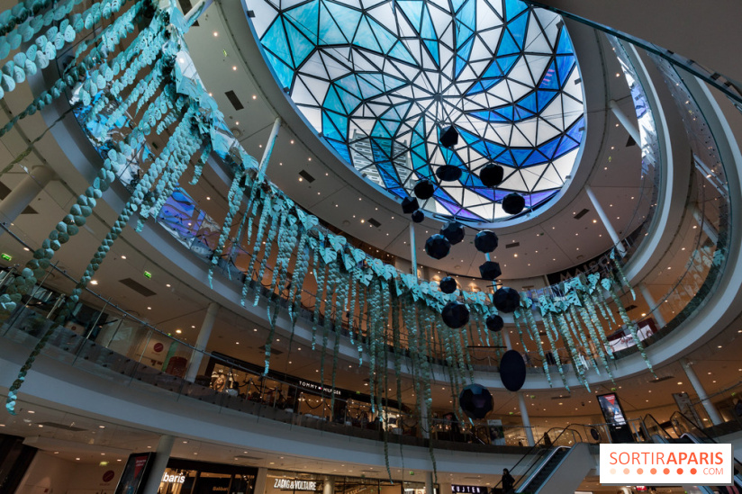 Exposition Monstera Dubia à Beaugrenelle