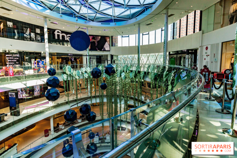 Exposition Monstera Dubia à Beaugrenelle