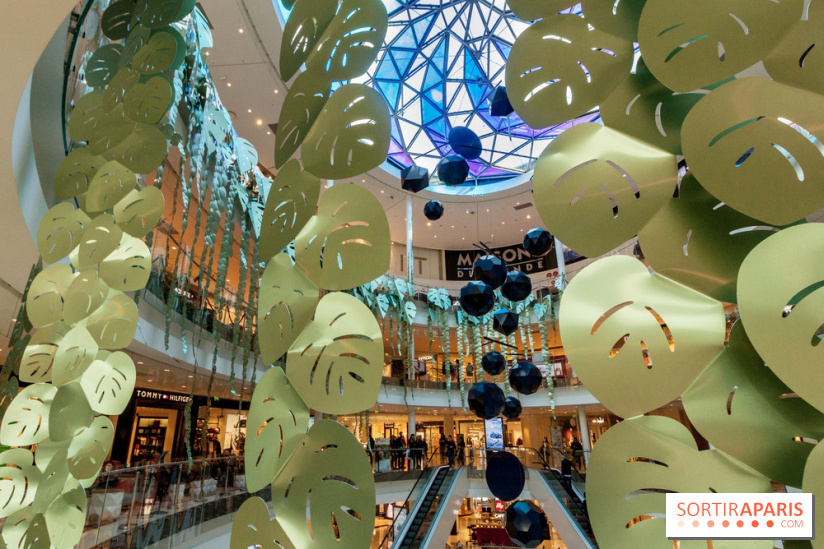 Exposition Monstera Dubia à Beaugrenelle