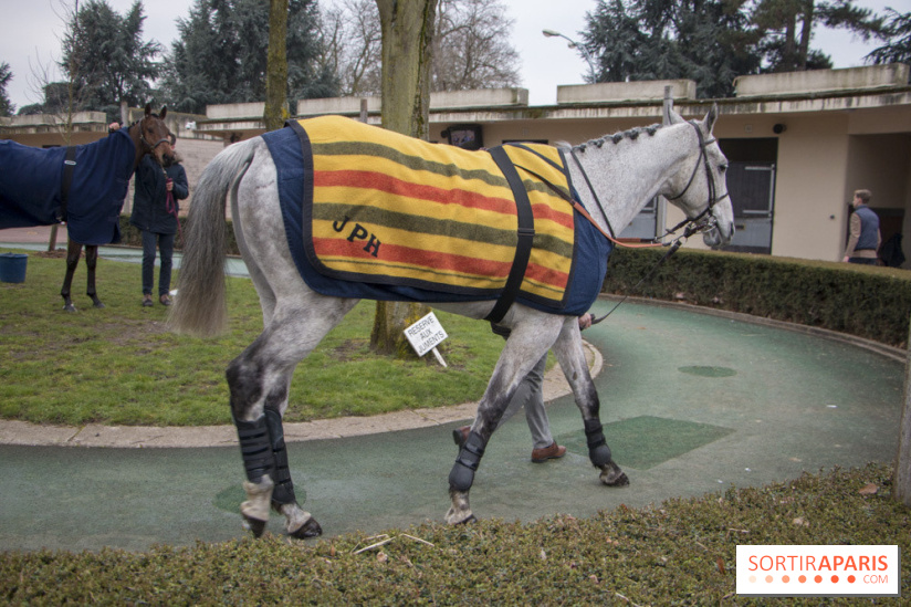 Les Dimanches au Galop 2018