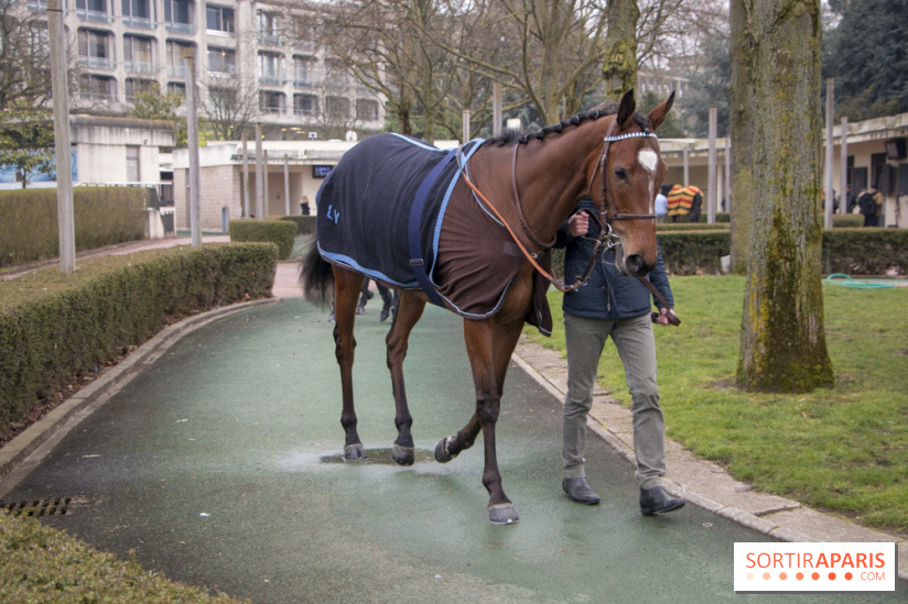 Les Dimanches au Galop 2018
