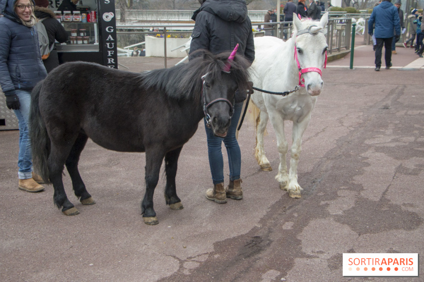 Les Dimanches au Galop 2018