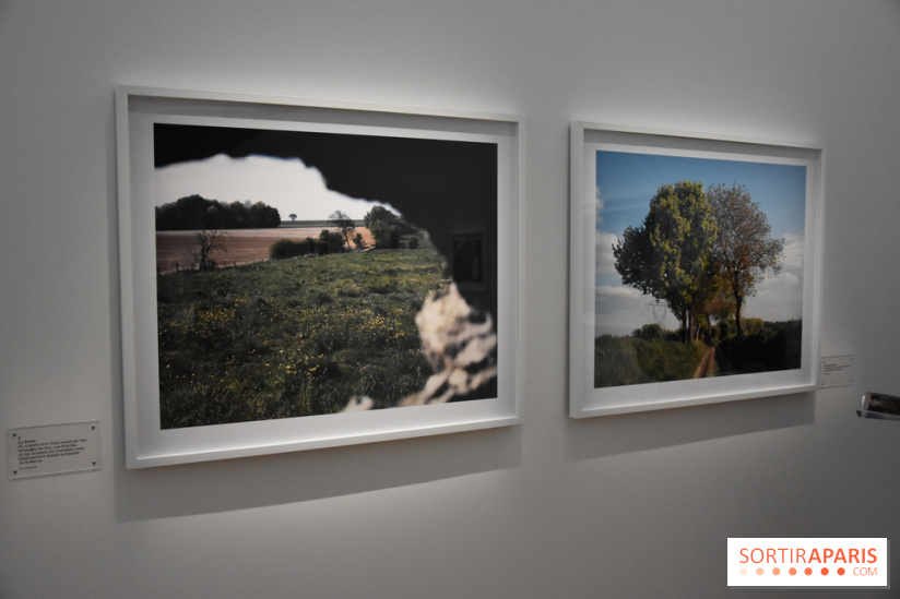 Transphère #5, nos photos de l'exposition de Tomoko Yoneda à la Maison de la Culture du Japon