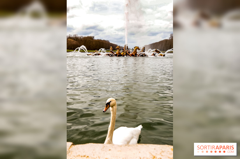 Les Grandes Eaux Musicales 2018 au Château de Versailles