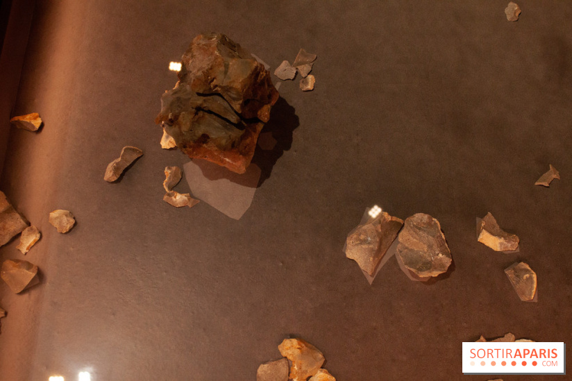 Exposition Néanderthal au Musée de l'Homme