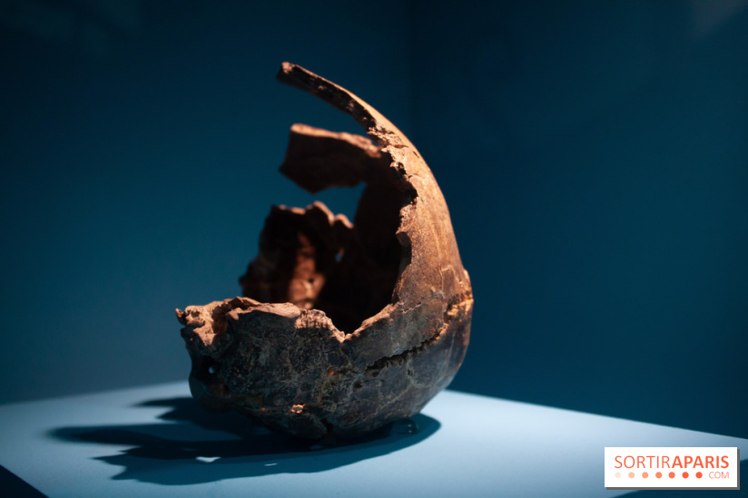 Exposition Néanderthal au Musée de l'Homme