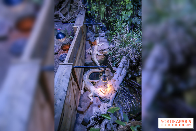 L'Aquarium de la Porte Dorée se renouvelle