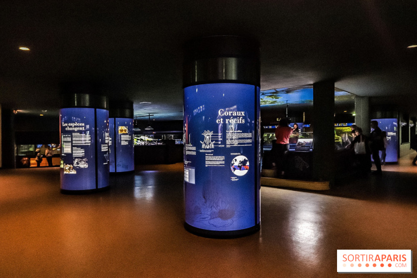 L'Aquarium de la Porte Dorée se renouvelle
