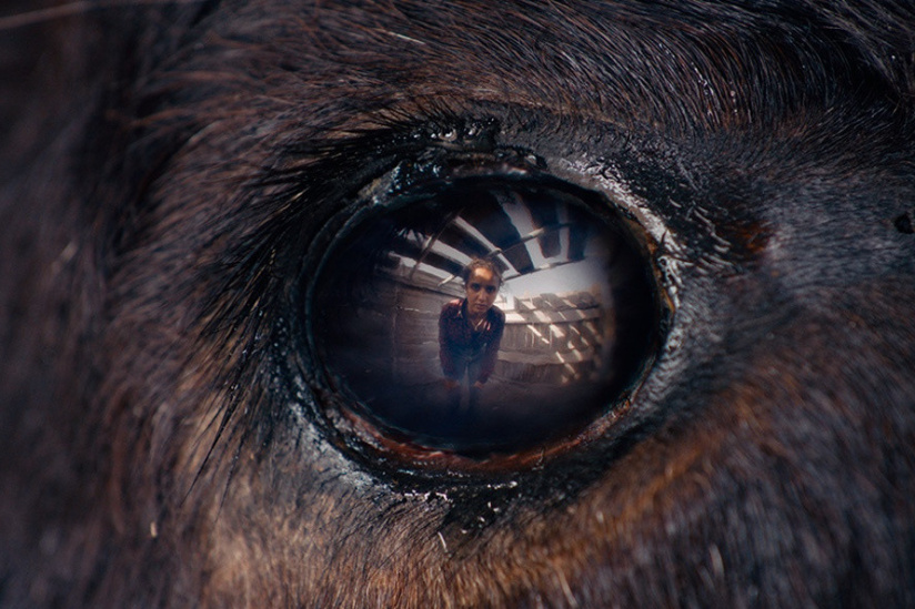 Animale d'Emma Benestan, film de clôture de la Semaine de la Critique 2024