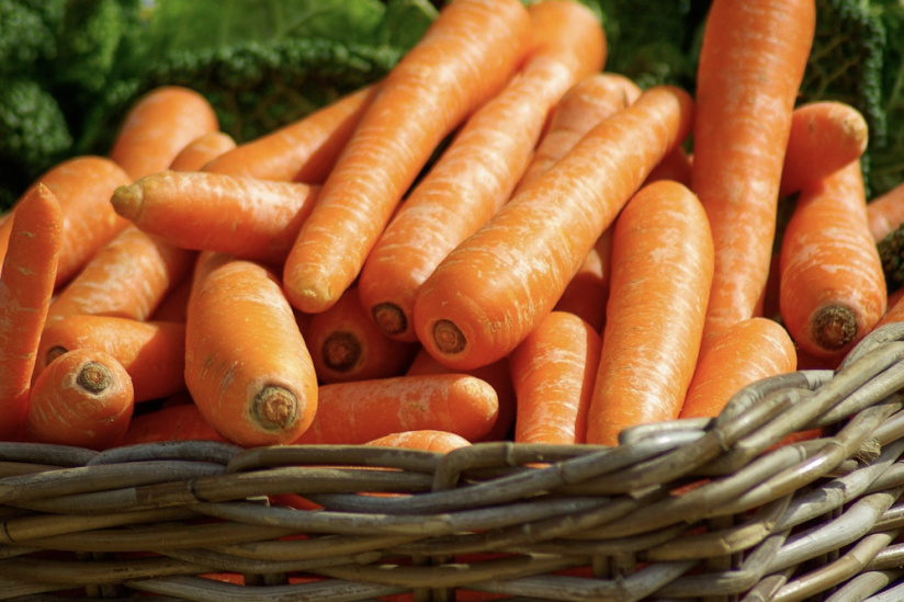La Cueillette de Compans, remplir son panier de produits frais en Seine-et-Marne (77)