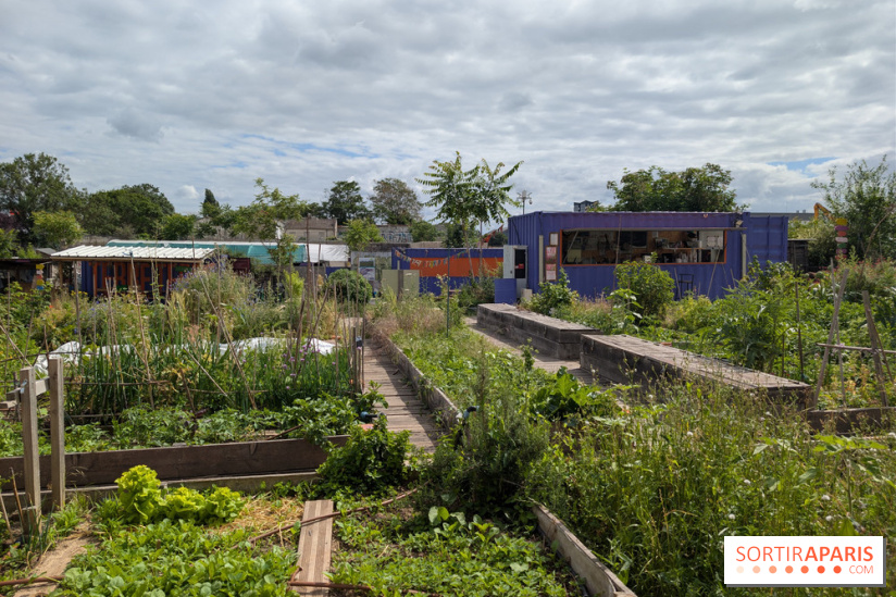 Terre Terre, la ferme-guinguette qui pousse au bord du canal à Aubervilliers (93)