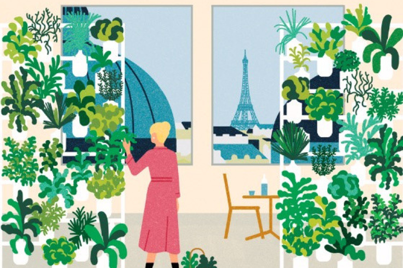 Un mur végétal comestible installé au Printemps du Goût